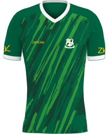 /media/0eqdwd3f/towcester-town-fc-short-sleeved-outfield-shirt-1.jpg