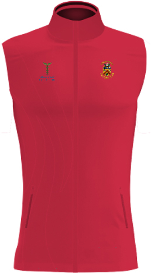 /media/1habdvrc/cheltenham-bc-ladies-tracksuit-gilet-1.jpg