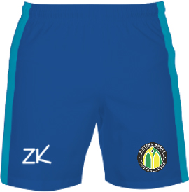 /media/23cdrcuu/tintern-abbey-fc-blue-goalkeeper-shorts-1.jpg