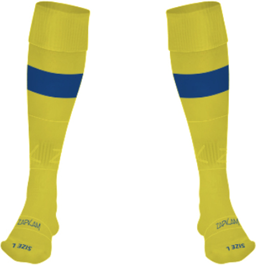/media/2qplxwea/bridgnorth-town-fc-goalkeeper-socks-1.jpg