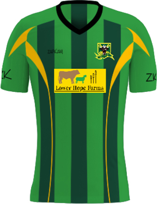 /media/2vbdkrjw/bromyard-fc-home-shirt-short-sleeve-1.jpg