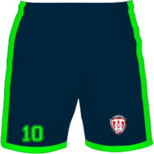 /media/41kjg0bl/pro-champions-fa-goalkeeper-shorts-1.jpg