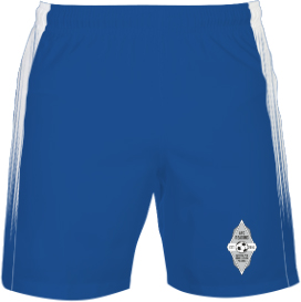 /media/53dnmlco/afc-reading-home-shorts-1.jpg