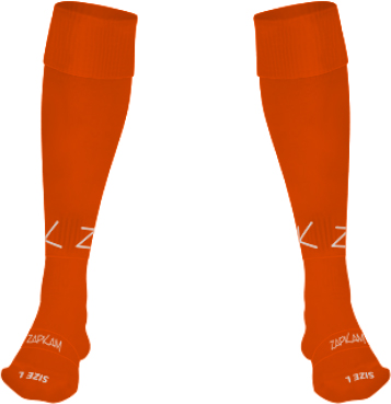 /media/5ggleppa/bromyard-fc-goalkeeper-socks-1.jpg