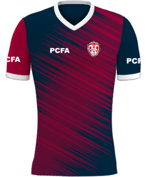 /media/5kalyahw/pro-champions-fa-match-shirt-3-front.jpg