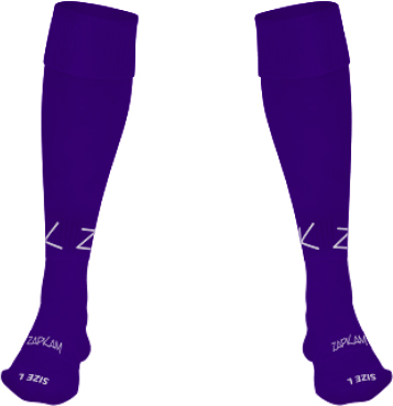 /media/cpwllli2/thornbury-town-fc-home-goalkeeper-socks-1.jpg