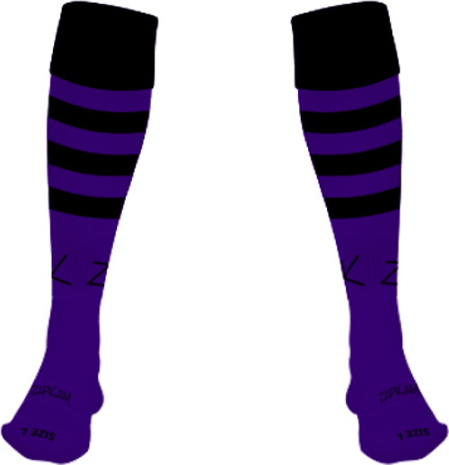 /media/g2unujou/bromyard-fc-goalkeeper-socks-1.jpg