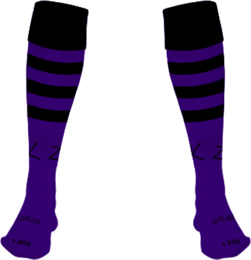 /media/g2unujou/bromyard-fc-goalkeeper-socks-1.jpg