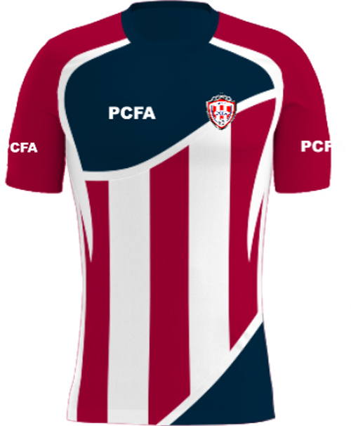 /media/gdwdde54/pro-champions-fa-training-shirt-1.jpg