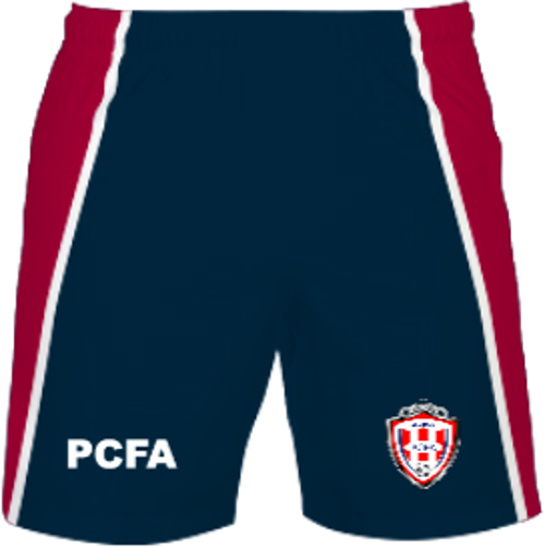 /media/hfeg0bx4/pro-champions-fa-shorts-navy-1.jpg