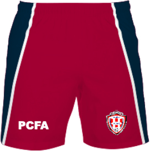 /media/hhrjgnkl/pro-champions-fa-shorts-1.jpg