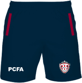 /media/hkjdl1q3/pro-champions-fa-coaches-tracksuit-shorts-front.jpg