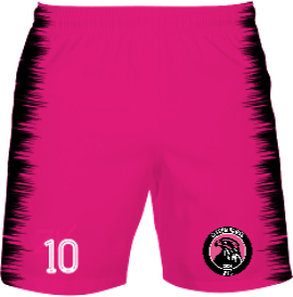 /media/jikbenz0/glevum-hawks-wfc-outfield-shorts-1.jpg