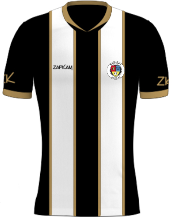 /media/k51pab2t/brockworth-albion-fc-home-shirt-1a.jpg
