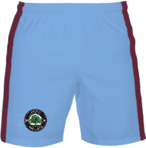 /media/kmdlfn4s/hamstreet-youth-fc-shorts-1.jpg