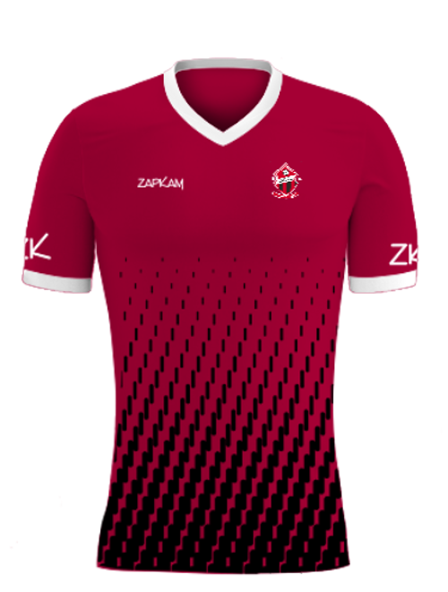 /media/l1ikwdhf/qwfc-home-shirt-1.png