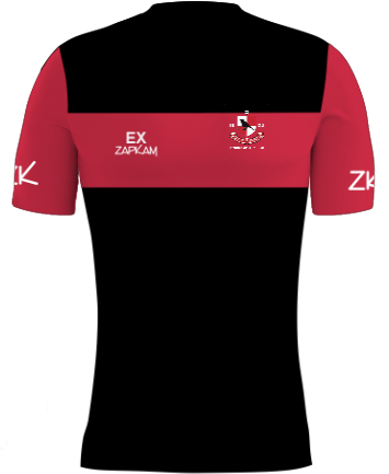 /media/lfri1lyk/finchampstead-fc-coaches-polyester-t-shirt-1.jpg