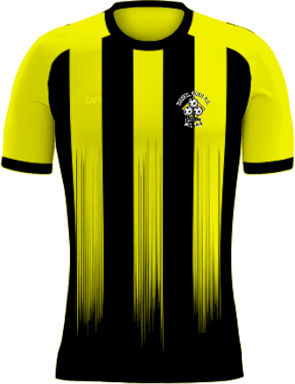 /media/lhmb4bx1/hemel-aces-fc-home-shirt-front.jpg