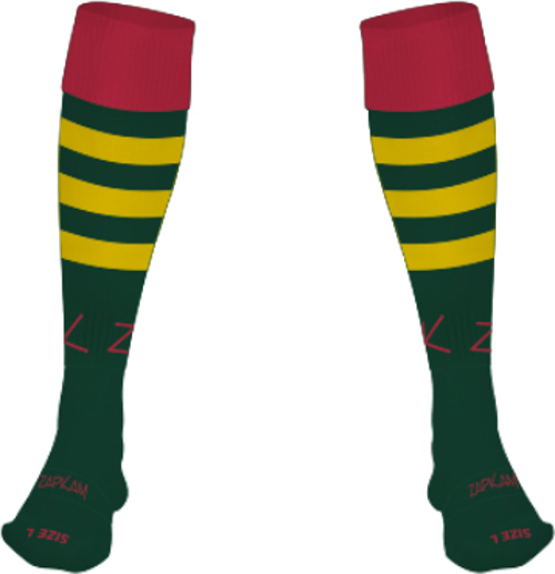 /media/m4tgkhcj/ashleworth-woodpeckers-fc-home-socks-1.jpg