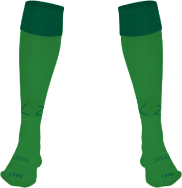 /media/mbibf0jc/cam-everside-yfc-goalkeeper-socks-1.jpg