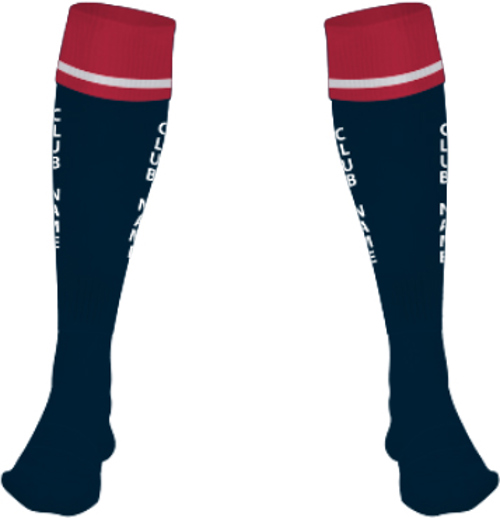 /media/nfvbnqnm/pro-champions-fa-socks-navy-1.jpg
