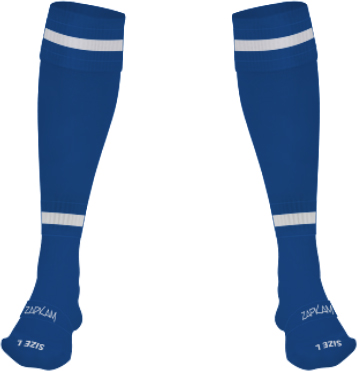 /media/p1ubm5tj/west-wight-youth-fc-football-socks-1a.jpg