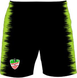 /media/p5fl1pmq/bredon-afc-away-shorts-1.jpg