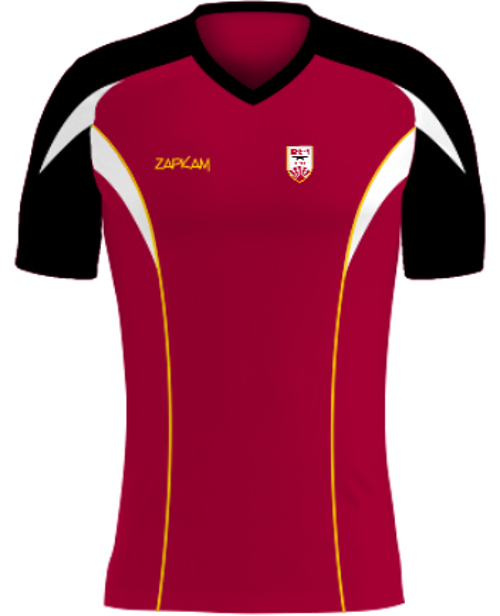/media/pl3p4402/ichiban-karate-shirt-1.jpg