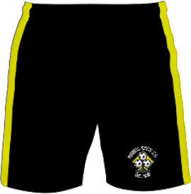 /media/r2nc11lx/hemel-aces-fc-home-shorts-front.jpg