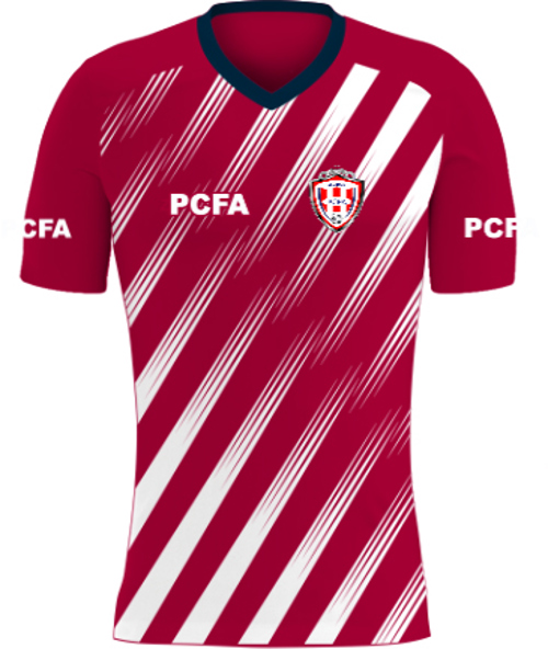 /media/sp1fwlky/pro-champions-fa-match-shirt-4-front.jpg