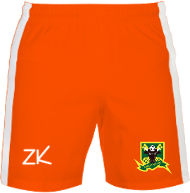 /media/vu0ksai5/bromyard-fc-goalkeeper-shorts-1.jpg